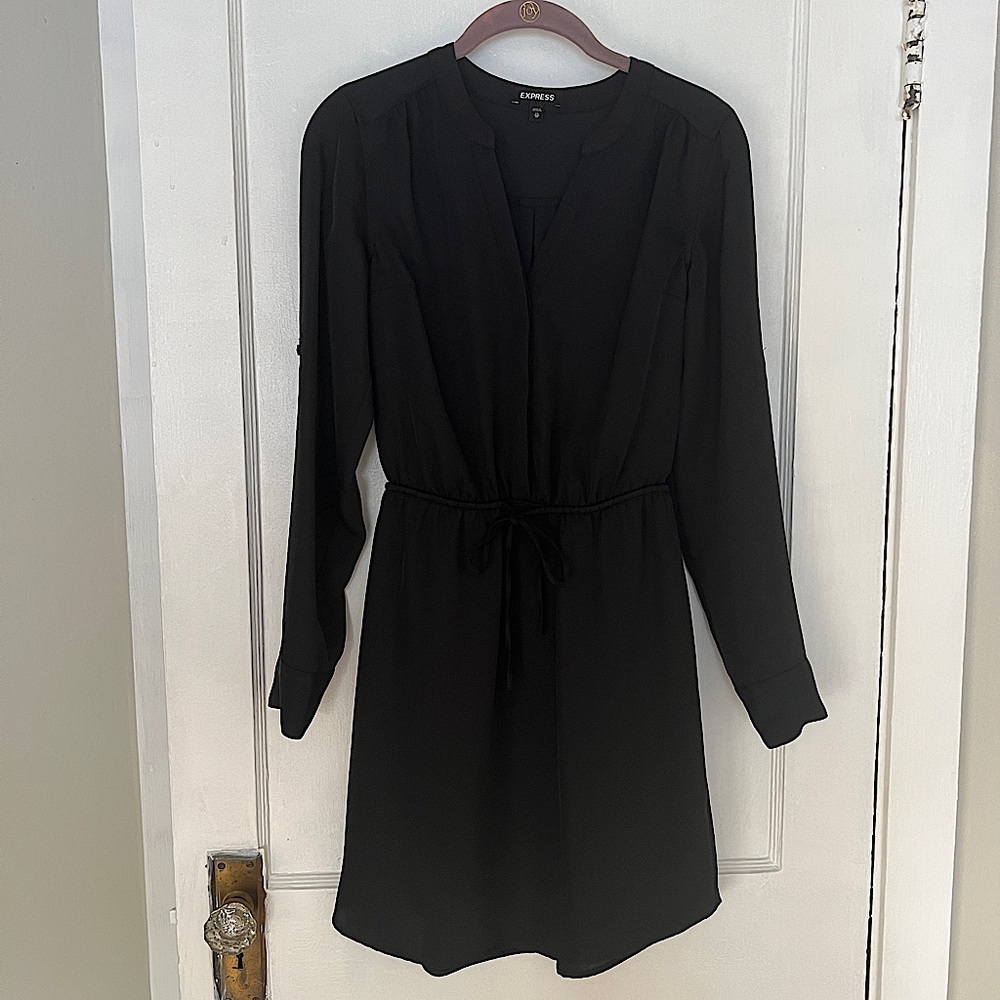 Express Long Sleeve Dress